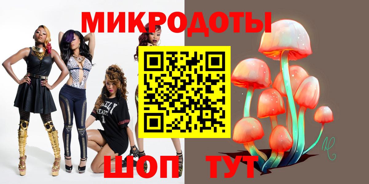 Псилоцибиновые грибы Psilocybine cubensis Россия